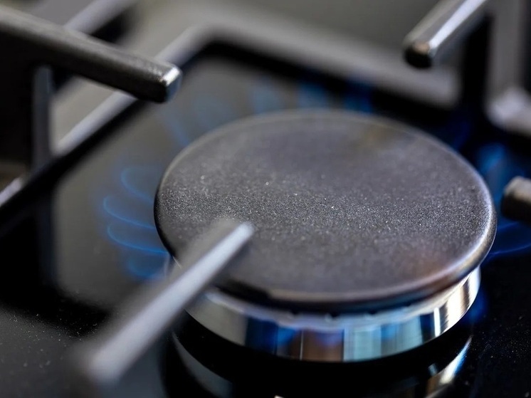 Более 1,7 тысячи семей Томской области получили выплаты на газификацию жилья