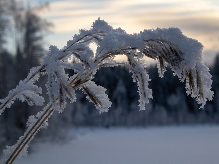 Снег с дождем и ветером обрушатся на Карелию 28 ноября