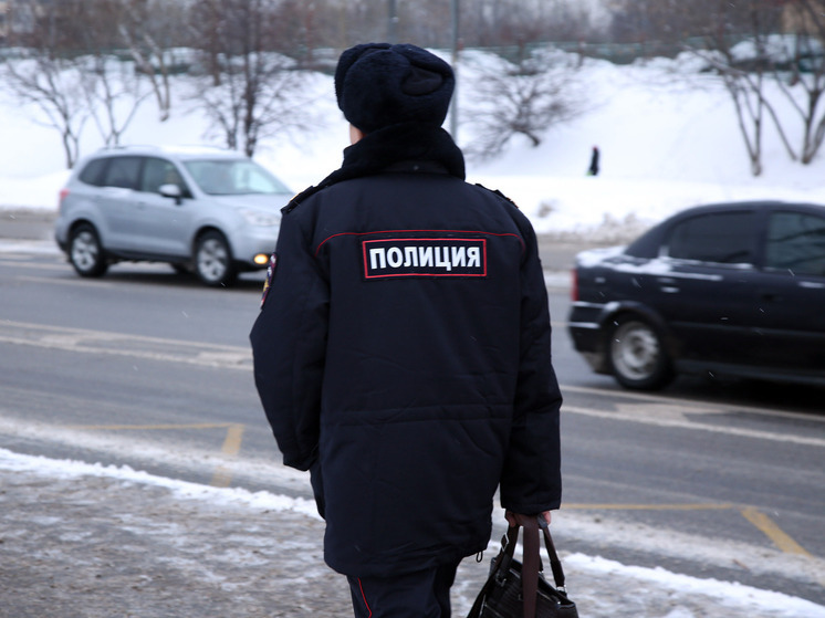 Жителя Алтайского края задержали по подозрению в пропаганде терроризма