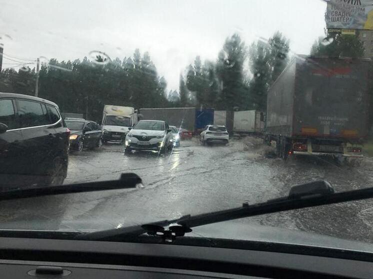 Две марки бензина подешевели в Воронеже