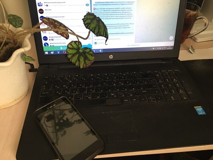 Минцифры прокомментировало проблемы с домашним интернетом у воронежцев