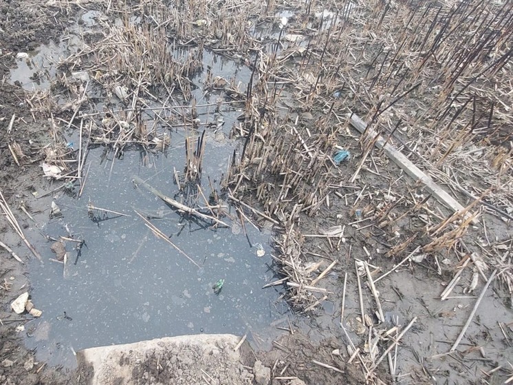 В Астраханской области суд обязал теплосети возместить ущерб почвам после излива сточных вод