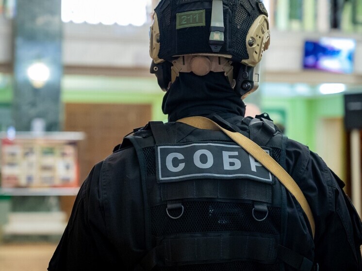 Силовики задержали южноуральца за контрабанду радиоактивных веществ