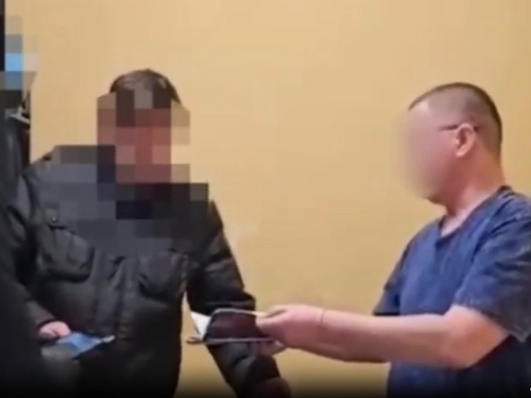 В Петербурге сотрудники ОМОН Росгвардии пресекли канал нелегальной миграции