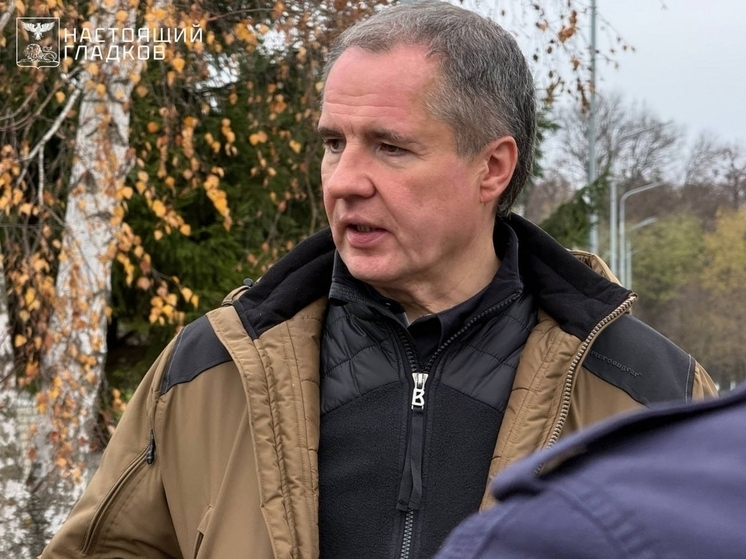 «Будем помогать»: Гладков – о поддержке жителей Мурома