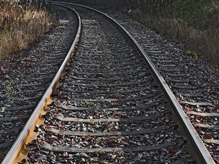 Эксперт Капустина: разобрав ж/д пути в Россию, Латвия лишится конкурентного преимущества