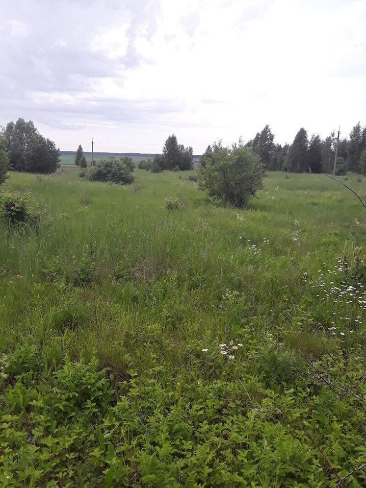 В Чувашии привлекли к ответственности предприятие за снятие плодородного слоя