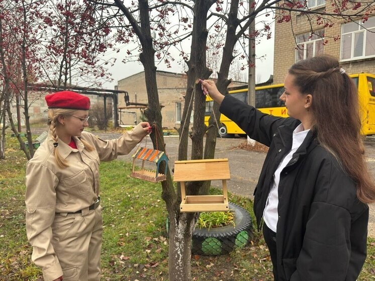 В Ясиноватой юнармейцы развесили кормушки для птиц