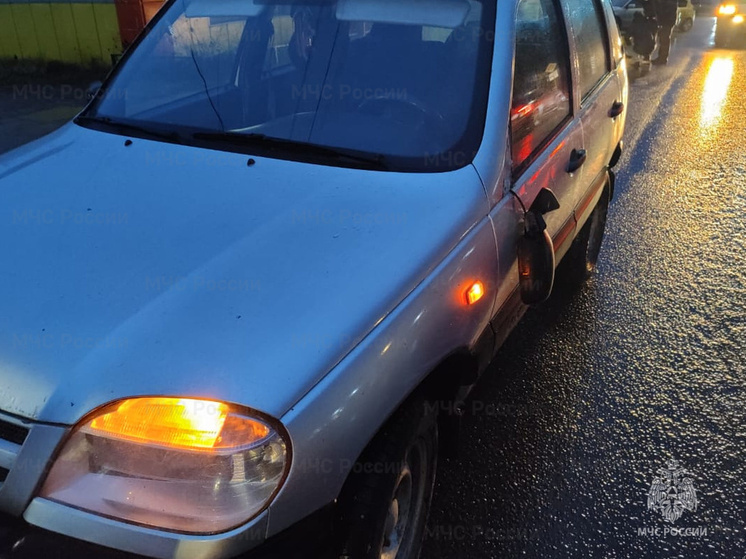 Niva Chevrolet снёс пешехода в Жукове