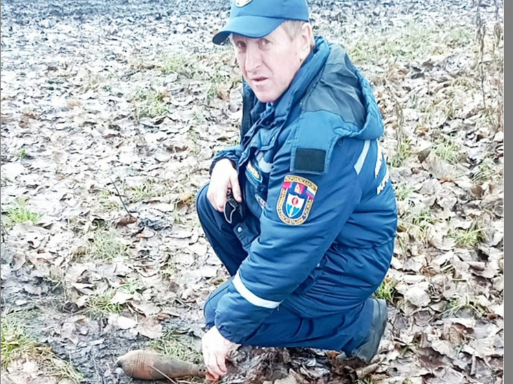В Левобережном районе Воронежа обнаружили мину времен ВОВ
