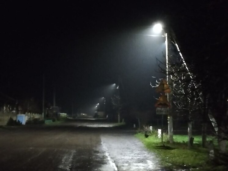 В Тельмановском МО в селе Михайловка восстановили уличное освещение