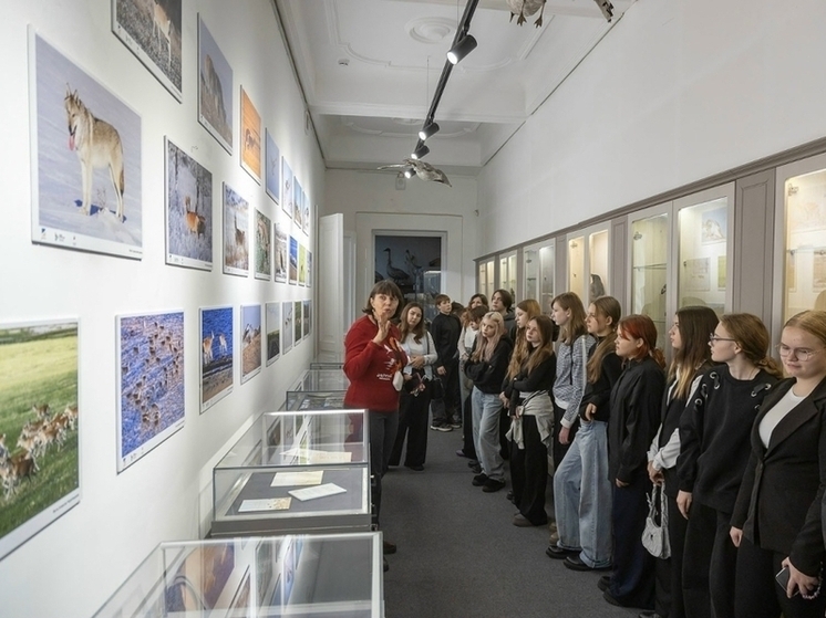 Фотовыставку о дзеренах открыли в Чите