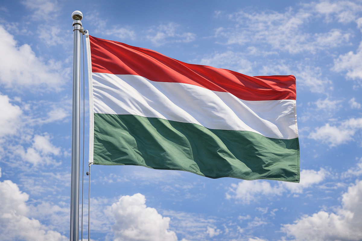 В стране ЕС прошёл митинг против втягивания Венгрии в войну с Россией