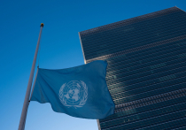 Известная международная правозащитная заявляет, что Израиль продолжает совершать геноцид в Газе