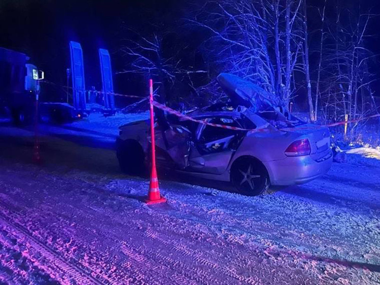 В Новгородском районе «Фольксваген Поло» врезался в грузовик
