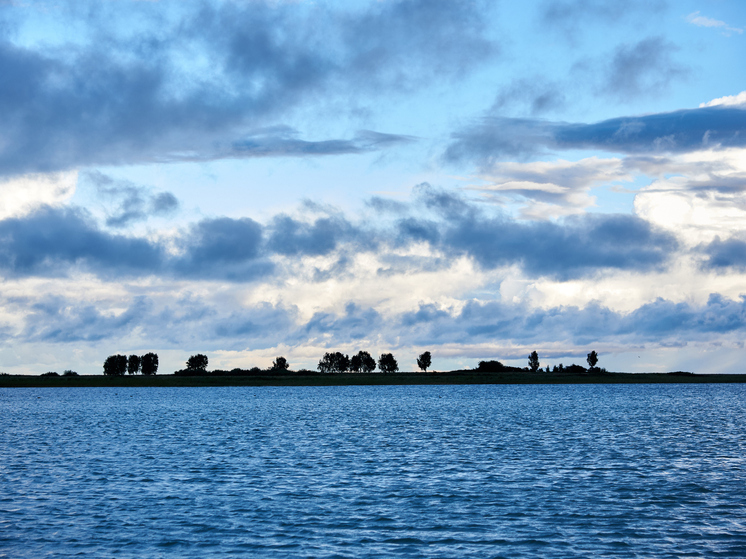 В Новосибирской области выставлены на аукцион 18 озер для рыбоводства