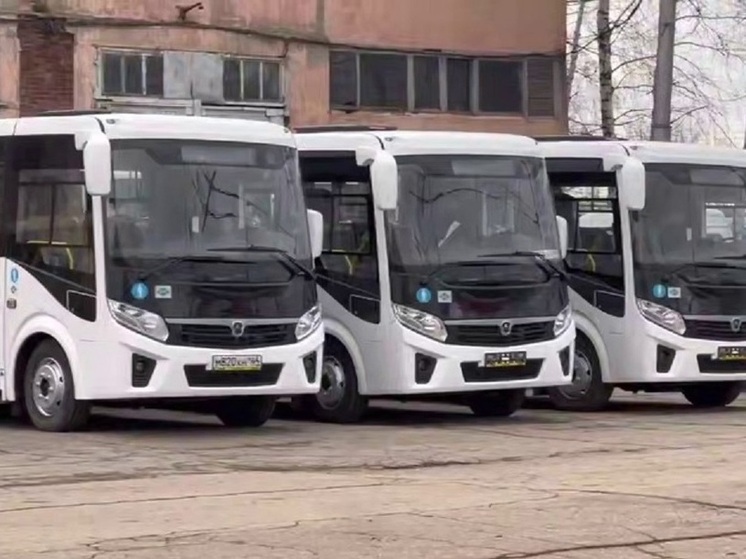 Панков: Балаковоэлектротрансу необходимо больше водителей и ремонтников