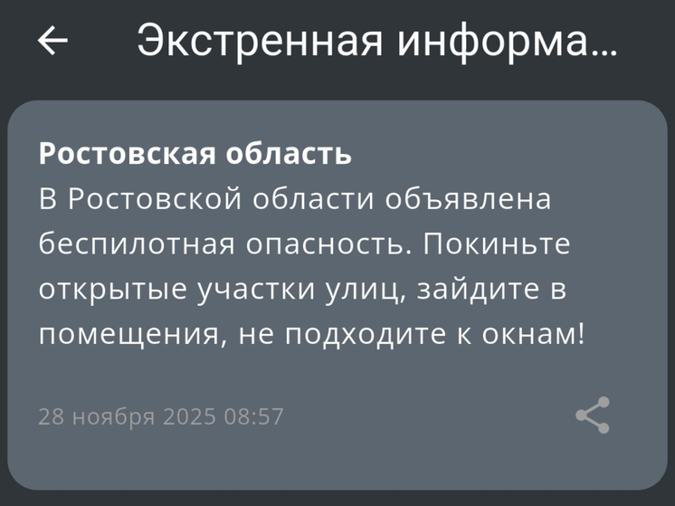 На Дону утром 28 ноября введен режим беспилотной опасности