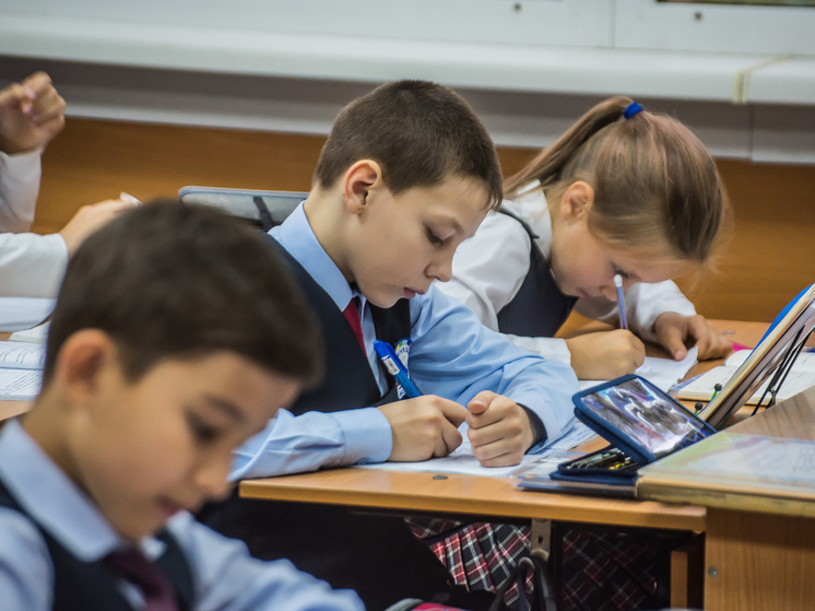 В Новосибирской области планируют построить 15 новых школ до 2028 года