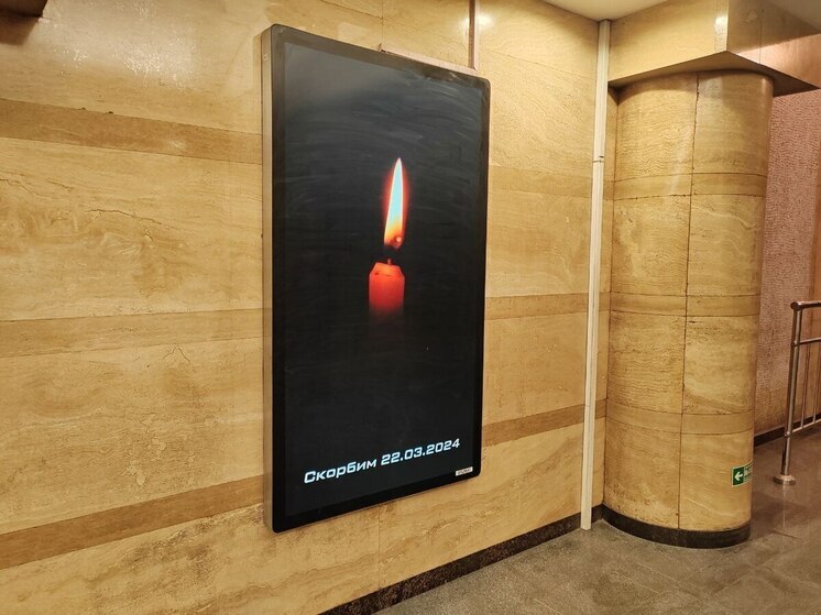 В Петербурге задержали мигранта за оправдание теракта в московском «Крокусе»