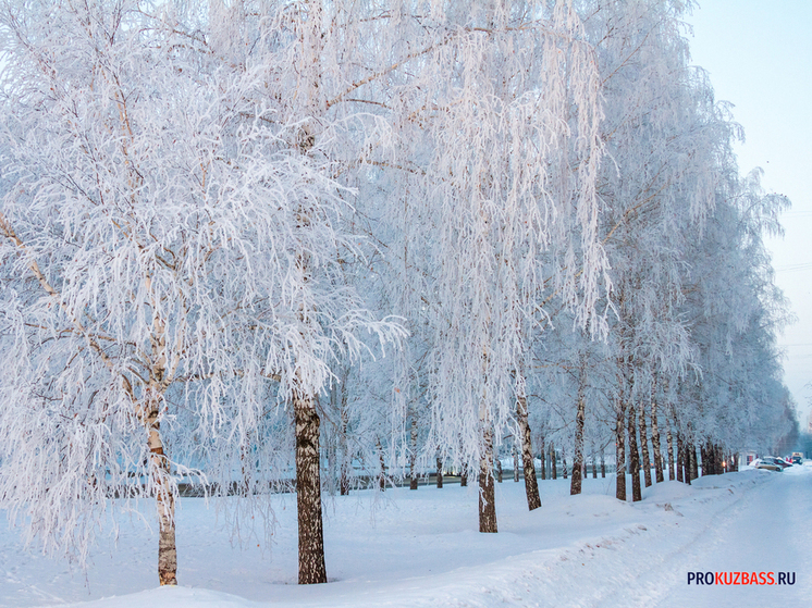 Жестокие морозы в Кузбассе снова сменит мокрый снег