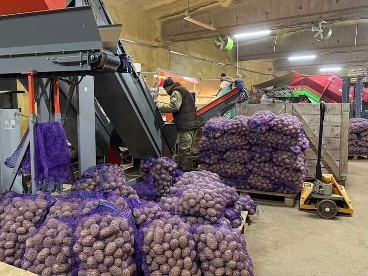 Заброшенные земли Ивановской области дают первый урожай