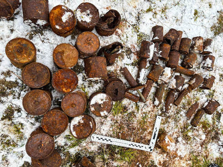 В Суслонгере найдены боеприпасы времен Великой Отечественной