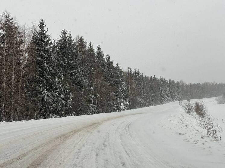 Морозы до -27 градусов обрушатся на Алтайский край в последние дни ноября