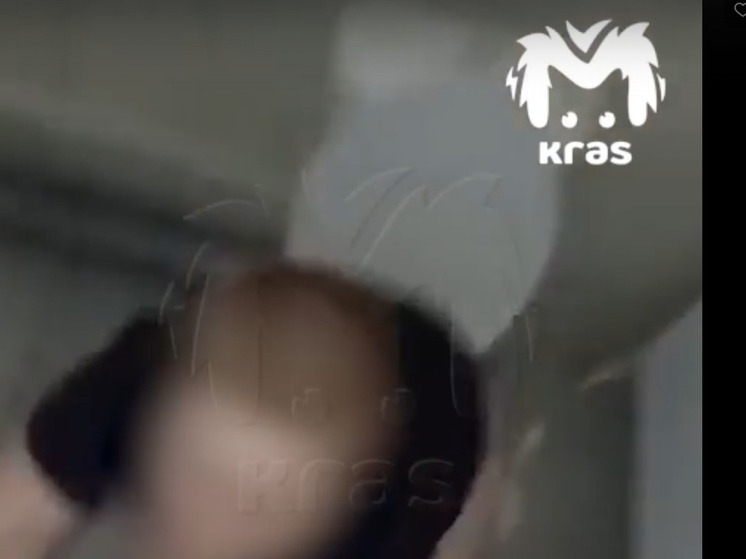 «Апогей травли»: в Красноярске школьника сняли в туалете, а директор проигнорировала жалобы матери