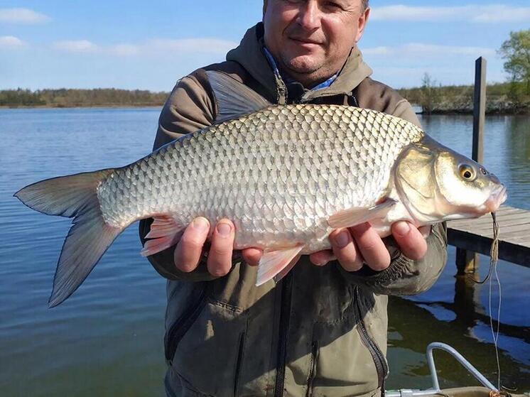 Получили леща и за леща: чем закончилась история азартных рыбаков из Великих Лук