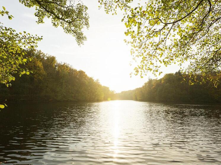 Более 200 км рек расчистят в новых регионах России до 2030 года