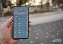 Календарная зима начнется в республике без снега: температура держится на 5–7 градусов выше нормы, пишет ИА «Татар-информ»