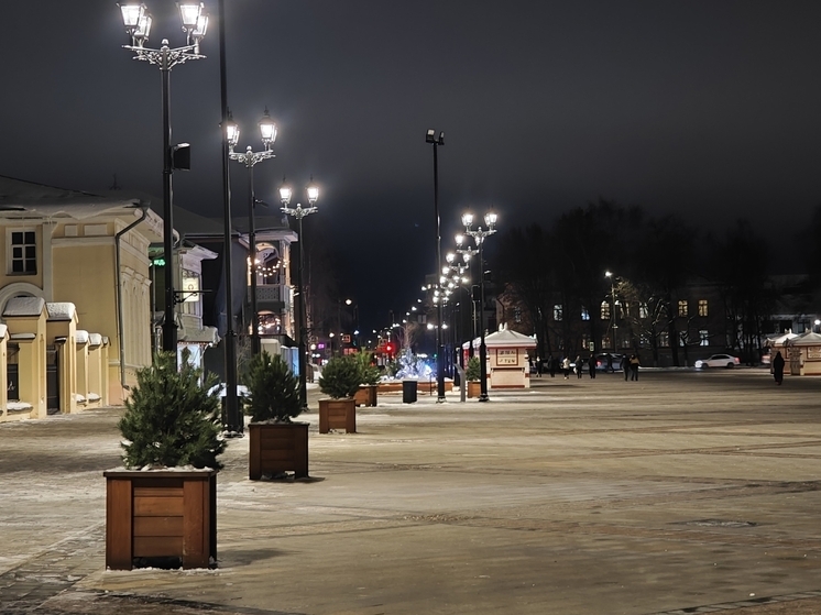 Начало декабря в Вологодской области ожидается теплым