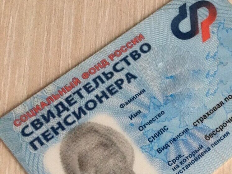 В Воронежской области 514 многодетных матерей вышли на пенсию досрочно