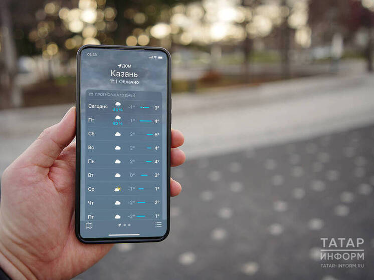 Календарная зима начнется в республике без снега: температура держится на 5–7 градусов выше нормы, пишет ИА «Татар-информ»
