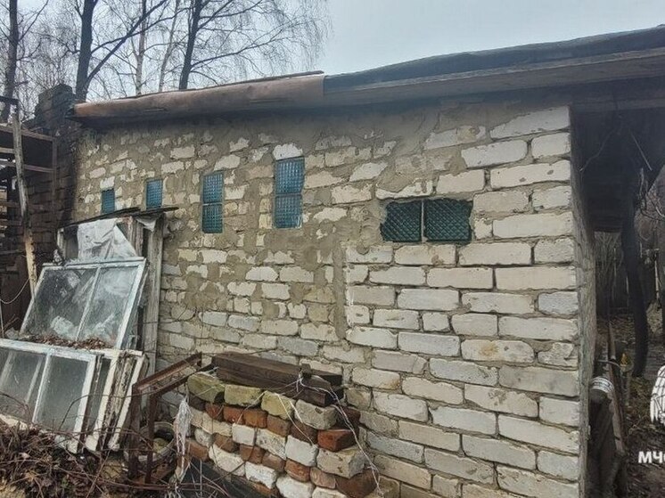 За сутки в Рязанской области произошло два пожара