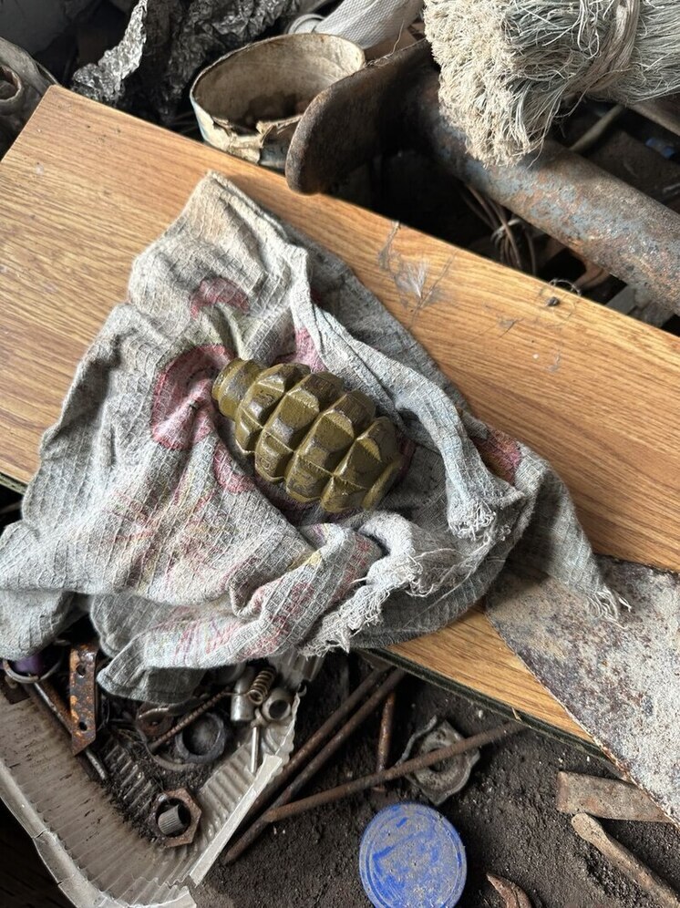 В доме жителя запорожского посёлка Весёлое найдена граната