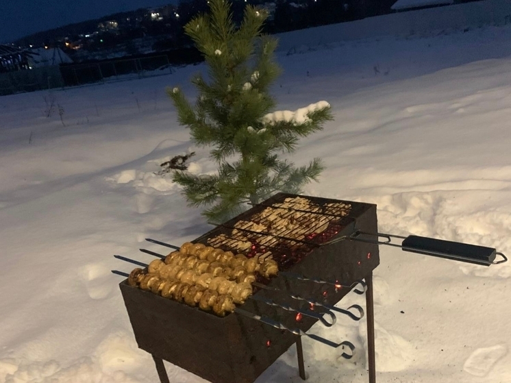 Вологжанин пошел на шашлыки с новыми друзьями и остался без телефона
