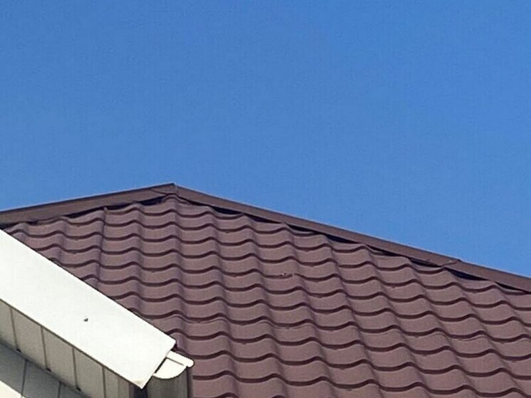 Один муниципалитет в сводке: за сутки БПЛА атаковал село в Грайворонском округе