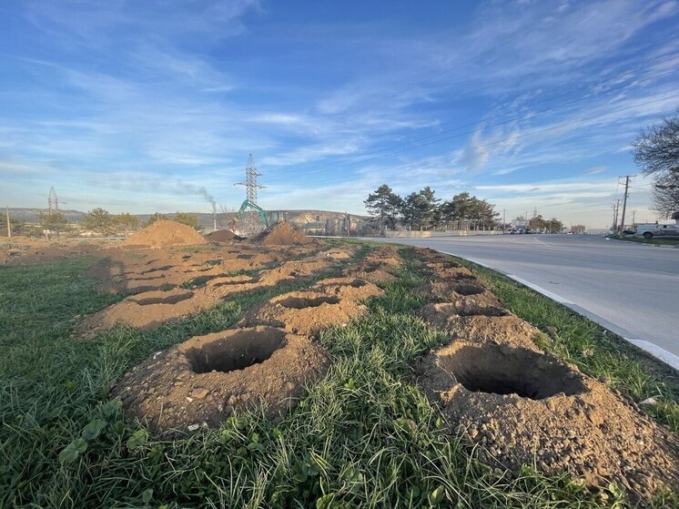 На въезде в Бахчисарай создают «Лавандовое кольцо»
