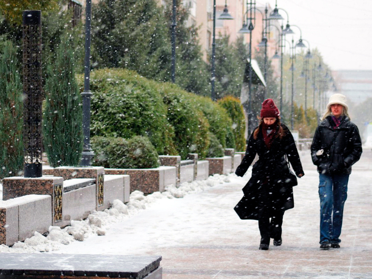 Омскую область накроют метель и гололедица — объявлено штормовое предупреждение