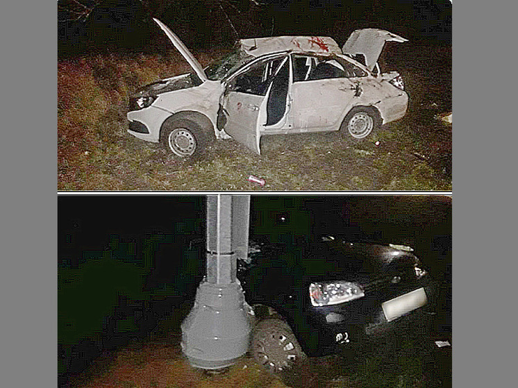 Московский лихач на воронежской дороге отправил в больницу двух человек