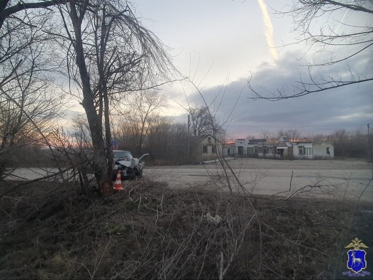 В Сызрани водитель «калины» съехал с дороги и врезался в дерево