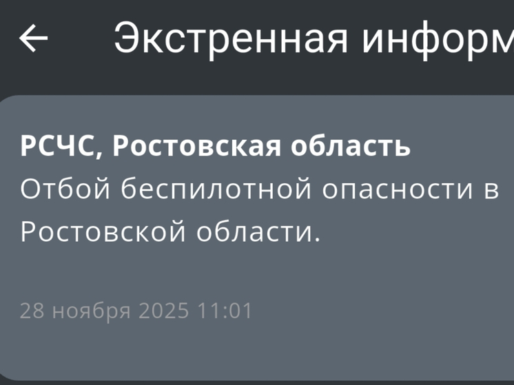 В донском регионе дан отбой беспилотной опасности утром 28 ноября