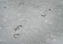 Всемирная организация здравоохранения советует людям от 18 до 64 лет заниматься аэробными тренировками не меньше 150 минут в неделю, причем каждая тренировка должна длиться как минимум 10 минут