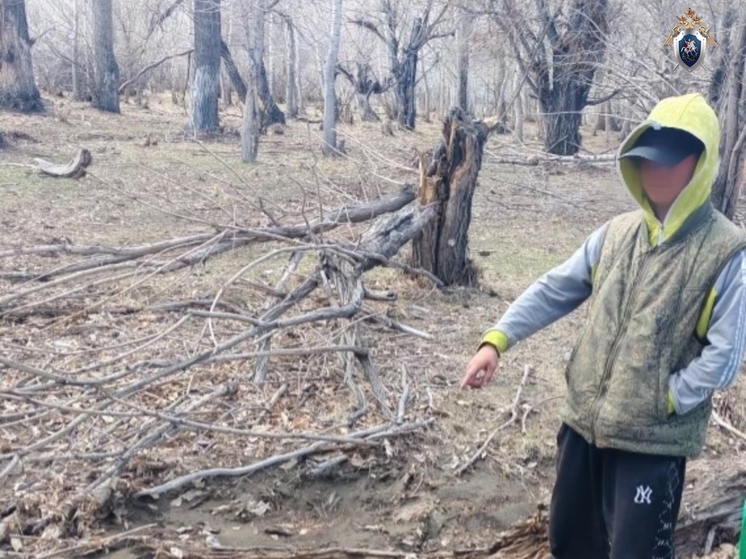 В Туве  подросток признан виновным в умышленном причинении тяжкого вреда здоровью односельчанина