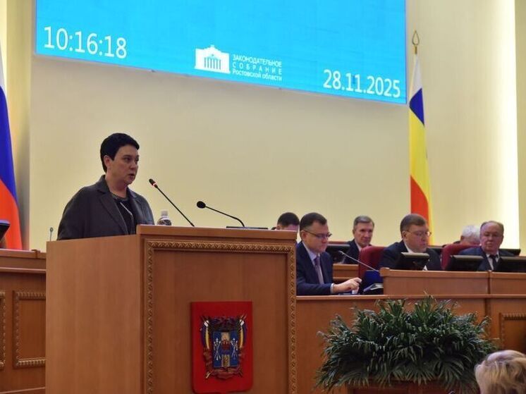 Депутаты Дона приняли изменения в областной бюджет на текущий год