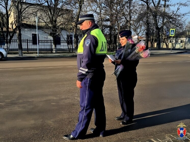 В преддверии Дня матери автоинспекторы провели акцию в Геническом округе