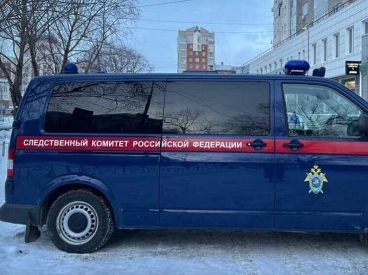 В Омской области в суд передано дело по экстремистской деятельности двух мужчин