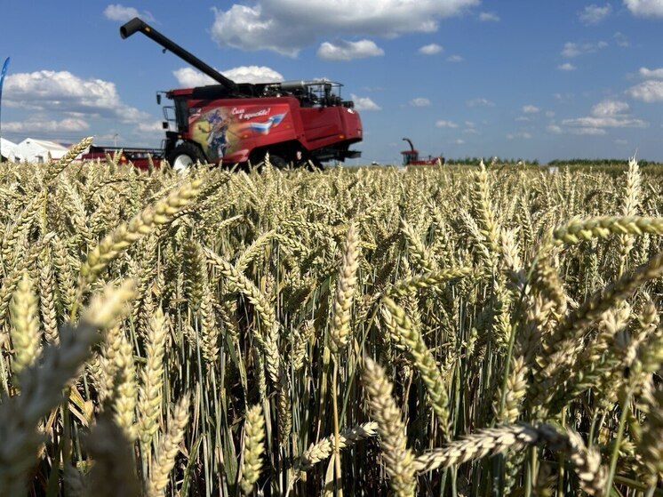 На Брянщине вырос выпуск продукции сельского хозяйства